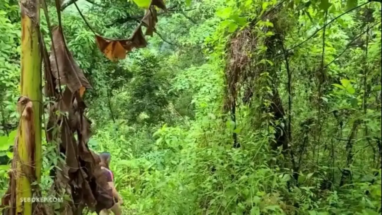 Petani Semok Ngewe di Kebun Pisang