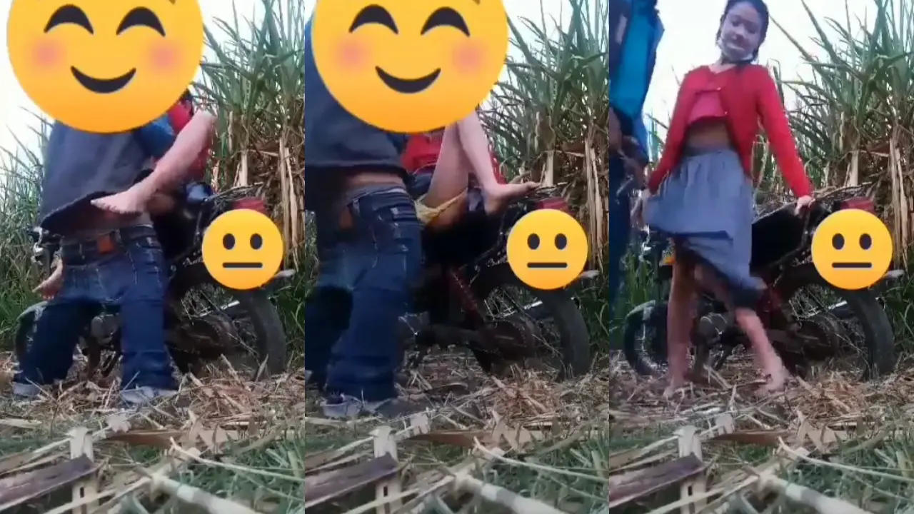 SMA NGEWE DI KEBUN TEBU